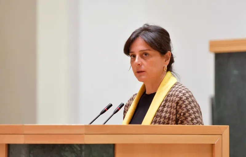 პარლამენტმა „ბუნებრივი რესურსებით სარგებლობისათვის მოსაკრებლების შესახებ" კანონში ცვლილება პირველი მოსმენით მიიღო
