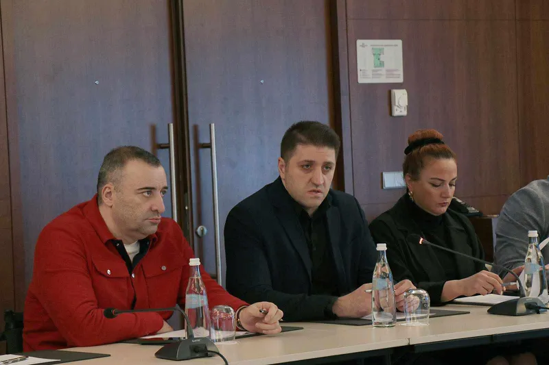საქართველოს მთავრობის „შეზღუდული შესაძლებლობის მქონე პირთა უფლებების კონვენციის იმპლემენტაციის უწყებათაშორისი საკოორდინაციო კომიტეტის“ სხდომა გაიმართა