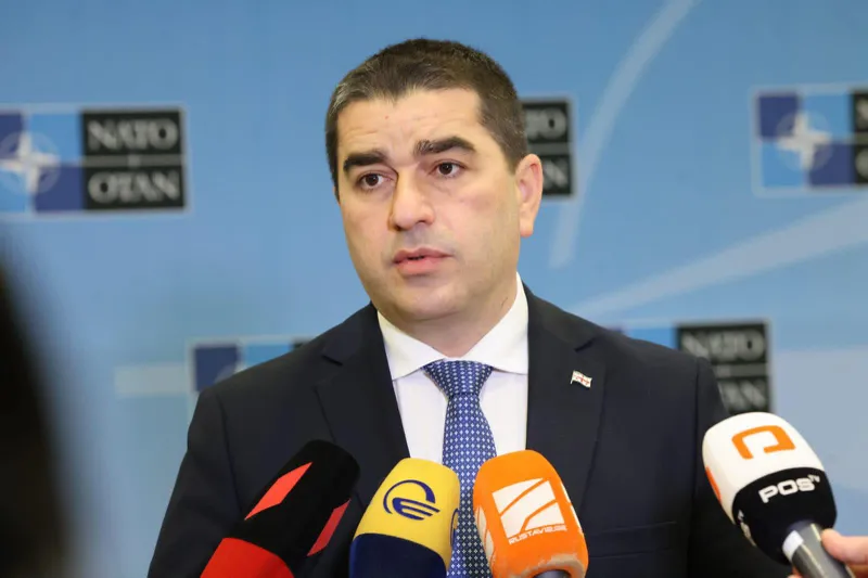 Shalva Papuashvili: Georgia has been acting as a NATO allied member country for a long time - Georgia has been ready for a long time for NATO to make a political decision