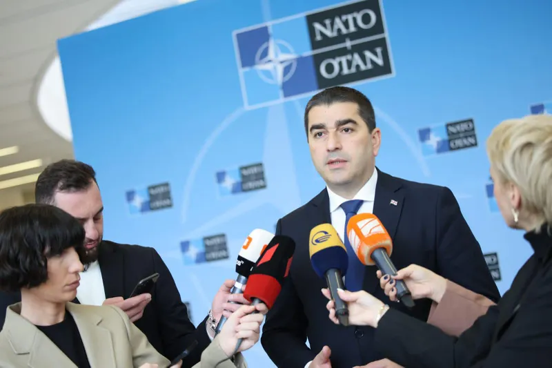 Shalva Papuashvili: We stand in solidarity with Ukraine without being protected by either NATO's nuclear umbrella or the EU's economic solidarity umbrella, and at the same time, Russia occupies two of our regions