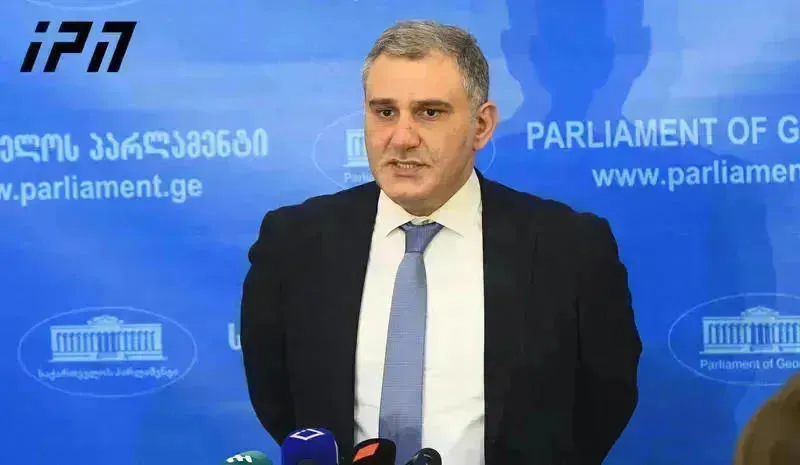 მიხეილ სარჯველაძე რიჩარდ ნეფიუს ვიზიტზე - ეს კარგი შესაძლებლობაა ფაქტებზე დაფუძნებით ვისაუბროთ, არა მხოლოდ კრიტიკულ ვარაუდებზე, არამედ შედეგებზე, რომელიც ყველა ავტორიტეტულ შეფასებაშია ასახული