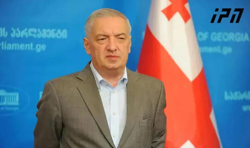 გია ვოლსკი - ჩვენ ვართ ევროკავშირის კანდიდატი სტატუსის მქონე ქვეყანა და უნდა ვიმსჯელოთ ევროსტანდარტებით და არა იმ სტანდარტებით, რომელსაც რადიკალური ოპოზიცია გვთავაზობს