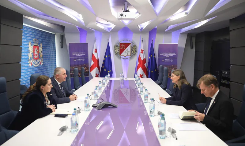 ლაშა ხუციშვილი შვედეთის სამეფოს ელჩს შეხვდა