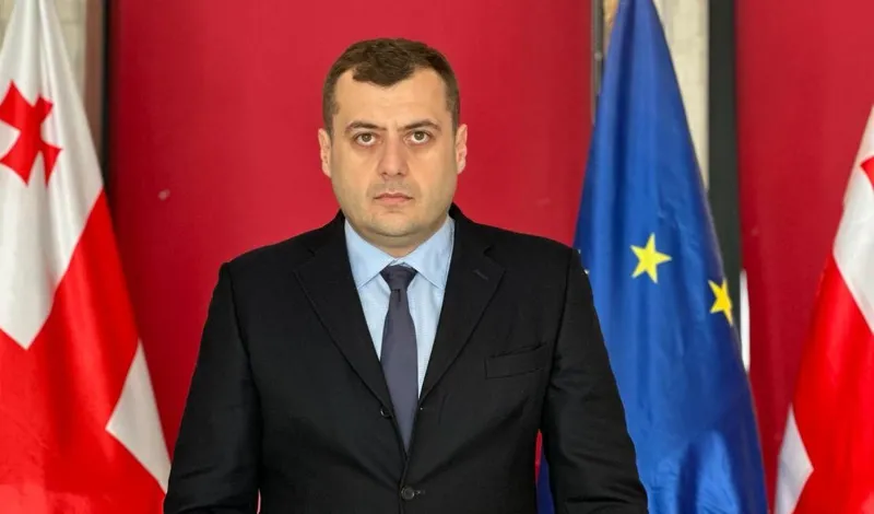 „ნაციონალური მოძრაობის“ იმერეთის რეგიონალური საბჭოს თავმჯდომარე - ქართველ ხალხს თავისუფლებისთვის ბრძოლაში არანაირი ორგანიზება არ სჭირდება