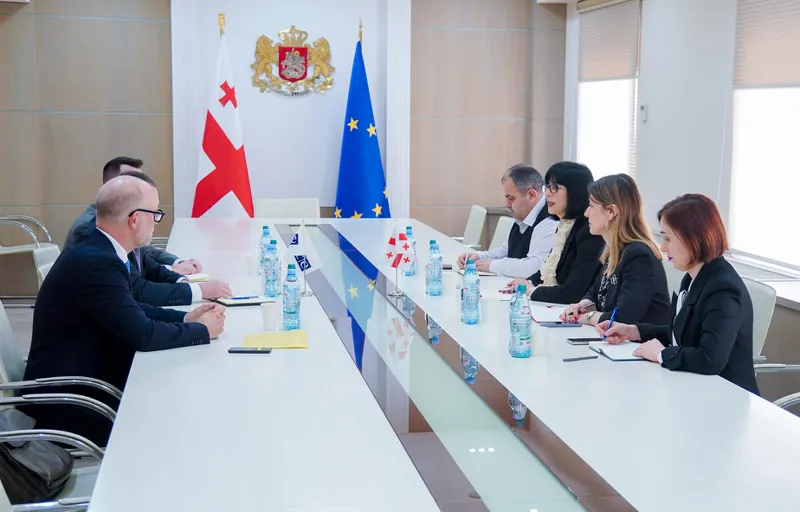 თეა ახვლედიანმა სამხრეთ კავკასიაში ეუთო-ს მოქმედი თავმჯდომარის სპეციალურ წარმომადგენელთან, ჟენევის საერთაშორისო დისკუსიების თანათავმჯდომარესთან შეხვედრა გამართა