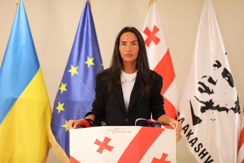 "ერთიანი ნაციონალური მოძრაობის" თბილისის ორგანიზაციის თავმჯდომარედ სოფო ჯაფარიძე აირჩიეს