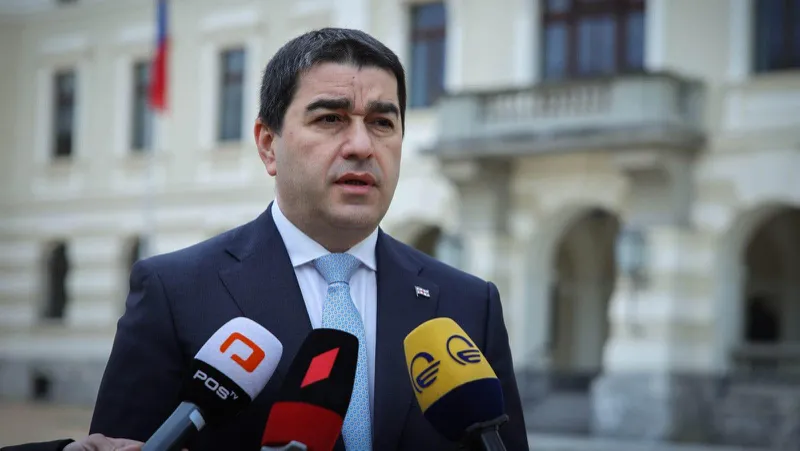 შალვა პაპუაშვილი ცესკოს თავმჯდომარისა და წევრების შერჩევის პროცესთან დაკავშირებით - მნიშვნელოვანია, ასეთი კომისიის წევრებს სახელმწიფოებრივი მიდგომა ჰქონდეთ