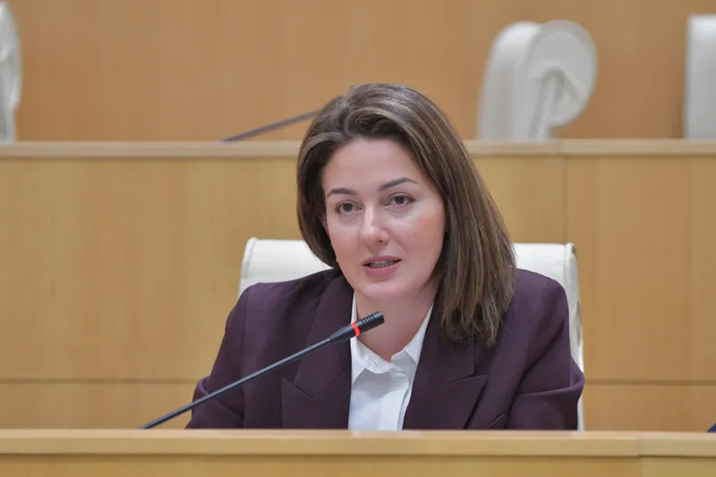ქეთევან თურაზაშვილი - სოციალური დახმარება ადამიანებზე ზეწოლის ინსტრუმენტად გადაიქცა „ქართული ოცნების“ ხელში