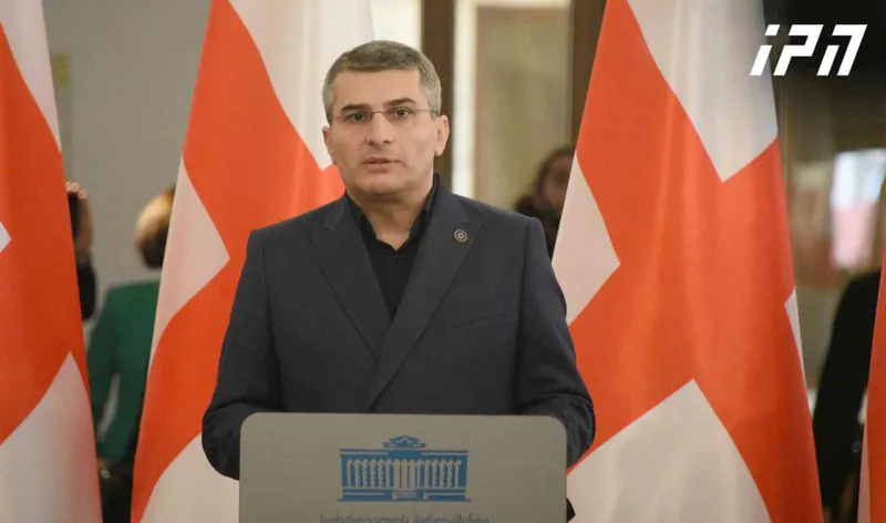 Mamuka Mdinaradze: Georgia will definitely become a full-fledged member of the European family, but not at the expense of undermining national self-respect, loss of identity, lack of transparency and interference in the country's management with black money