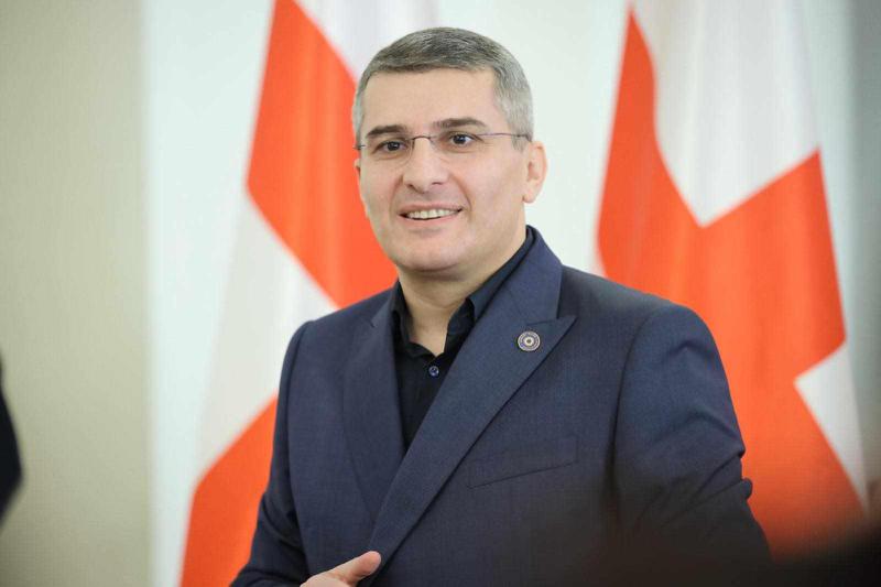 Mamuka Mdinaradze: 你认为我们会因为你对男人与男人结婚的笑话而废除关于家庭价值观的法律吗？ - “深层政府”代理人已经完全失去理智了。