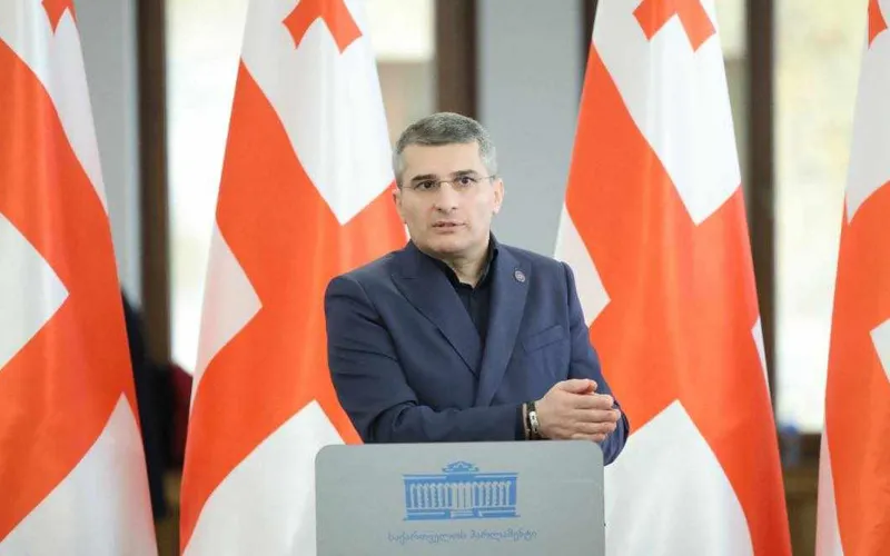 მამუკა მდინარაძე - ISFED-ზე რეპუტაციაწამხდარი ორგანიზაცია არ არსებობს - უბრალოდ სირცხვილია, როცა არჩევნებზე და მის კანონიერებაზე წინასწარ, ამდენი თვით ადრე საუბრობენ