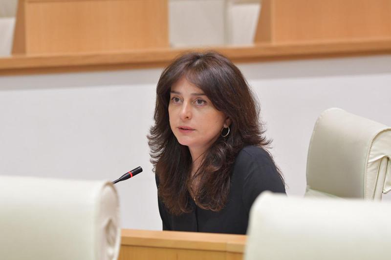 Maia Bitadze: 我们当时正在抗议由Joe Wilson发起的对决议草案的修改，并且自然地，我们不支持这些修正案和决议。