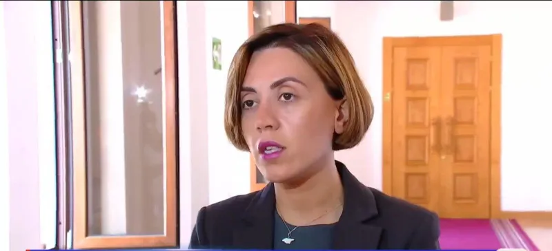 ანა წითლიძე - ივანიშვილმა ღიად თქვა, რომ 2012 წელს ის მოვიდა ერთადერთი დავალებით, საქართველოს ევროპული მომავალი დააკარგვინოს