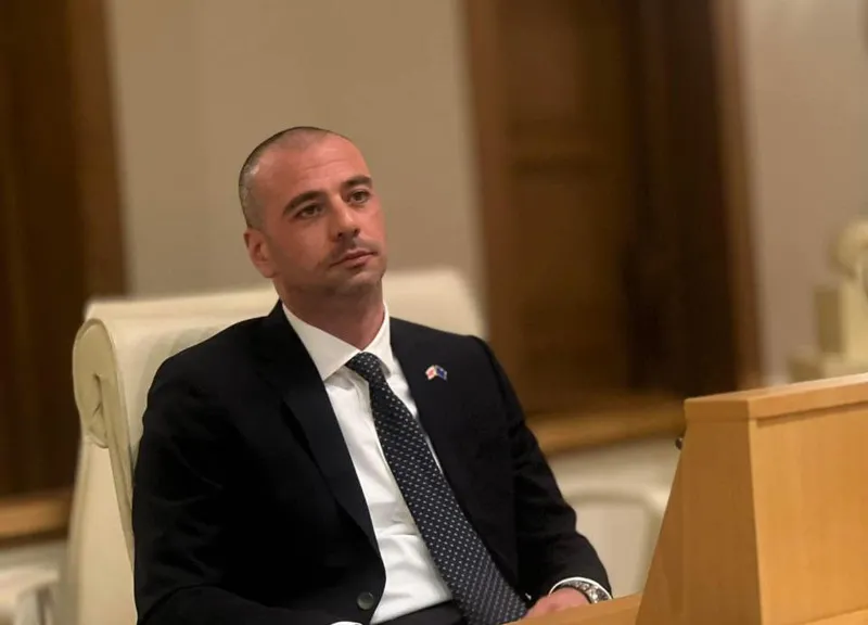 Levan Machavariani: From what I saw in the footage, Giorgi Gakharia initiated the physical violence against Dimitri Samkharadze, and Dimitri’s reaction was not unexpected
