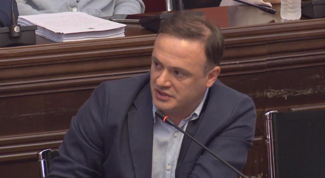 伊拉克利·扎尔库阿对沙尔瓦·克雷塞利泽说：甚至你的盟友都说到了“鹦鹉失去了羽毛，狗再也认不出它的主人”的地步——没有东西需要调查；没有理由成立委员会，而且它不会被创建。