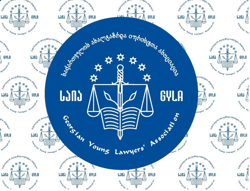 საია - წალკისა და თეთრიწყაროს საოლქო საარჩევნო კომისიების სააპელაციო საჩივარში მითითებულია მოსამართლის მეუღლის პირადი მოსაზრებები, რაც აპელანტების აზრით, შესაძლოა გადაწყვეტილების ობიექტურობას ეჭვქვეშ აყენებდეს