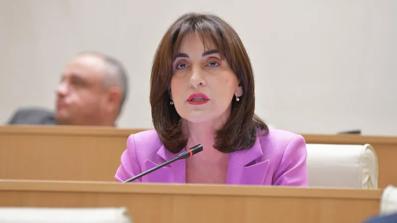 მაკა ბოჭორიშვილი შანტაჟის ნაცვლად მუშაობა! ჩვენ მზად ვართ ევროკავშირთან მოლაპარაკებები ვაწარმოოთ, რისთვისაც აუცილებელია, რომ ევროკავშირის ბიუროკრატია ...