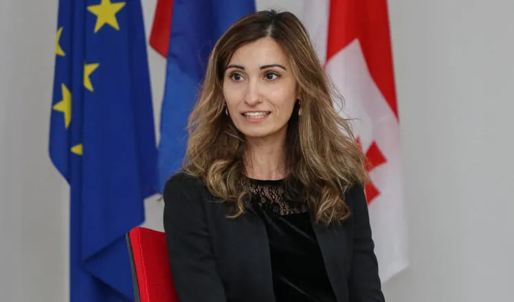 Ambassador of the Netherlands Nikoloz Samkharadze: There is a setback in the field of democracy and fundamental rights in Georgia, the process of joining the European Union of Georgia has been stopped because of this