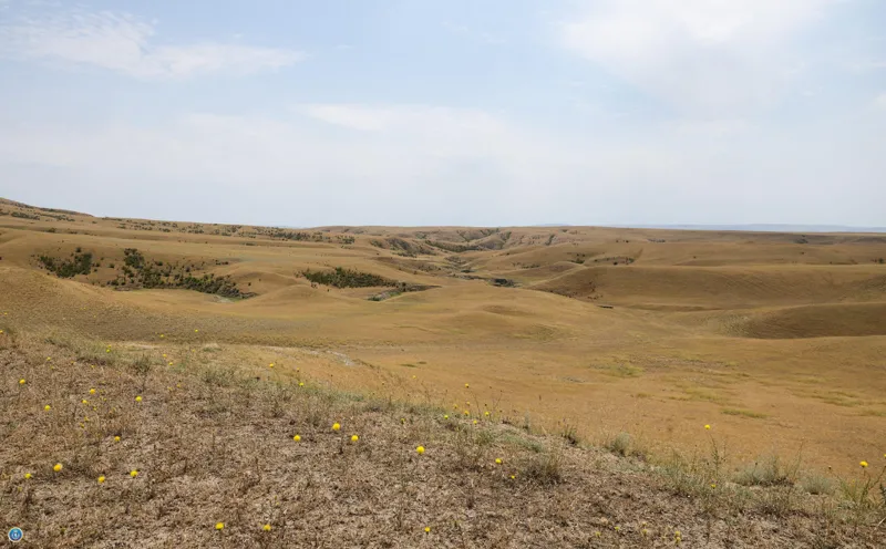 2026 թվականի հունվարի 1-ից սկսած՝  ինքնակամ զբաղեցված հողերի նկատմամբ սեփականության իրավունքը ճանաչելու նպատակով Հանրային գրանցամատյանի ազգային գործակալությունը կիրականացնի միայն պարբերական գրանցումներ