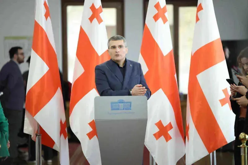 Mamuka Mdinaradze: Yes, representatives of the technical staff will cooperate with the "technical mission", but first let's find out what the technical mission is - the international investigation is not unacceptable, but insulting