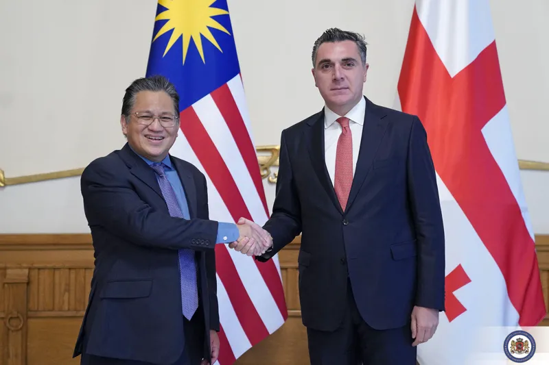 Ilia Darchiashvili met with the Vice President of the Upper Chamber of the Malaysian Parliament