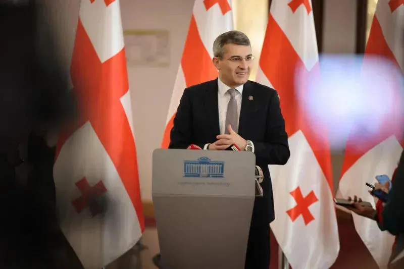 Mamuka Mdinaradze: love of the country does not need a diploma, Mikheil Kavelashvili is more educated than many even without a diploma! If our presidents had two diplomas, what did they do useful for the country?