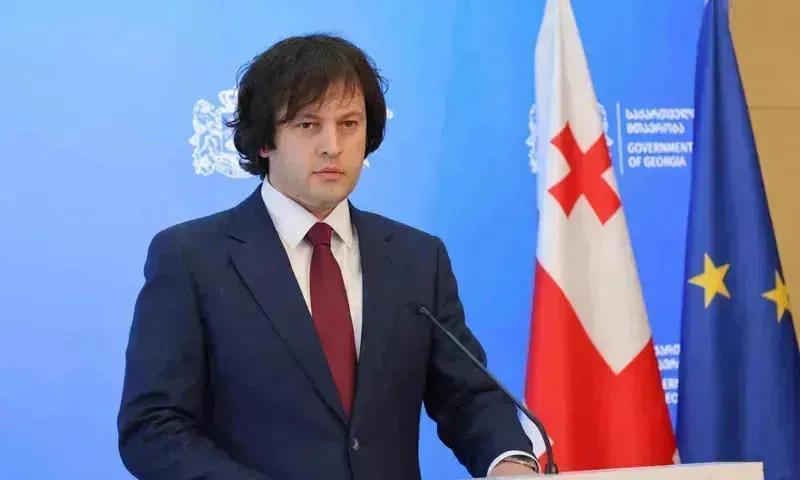 ირაკლი კობახიძე - საქართველოს კონსტიტუცია გარემოს დაცვის უფლებას ადამიანის ძირითად უფლებებს შორის აღიარებს