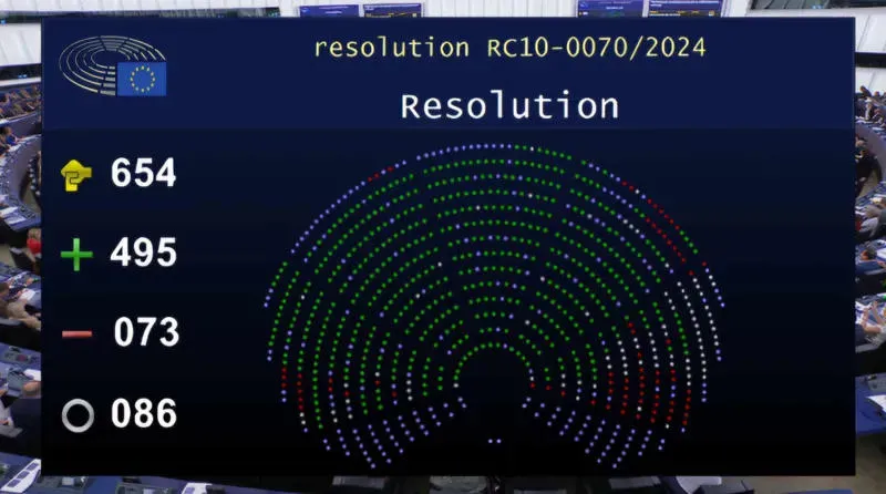 The European Parliament supported the resolution on Georgia
