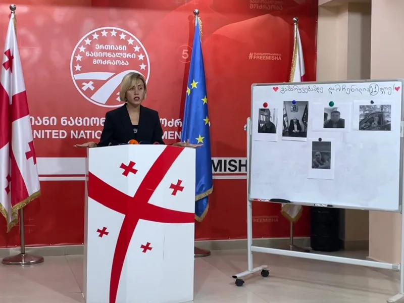 Anna Tsitlidze accuses high-ranking officials of running an "enforcement headquarters" aimed at suppressing opposition voters