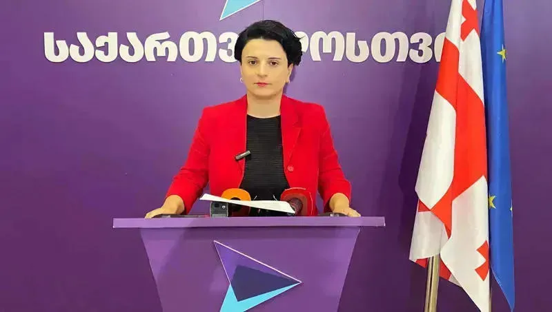 Natia Mezvrishvili: The State Security Service has become Ivanishvili's propaganda television and will offer a series of shows before the elections to instill fear in the population - we should not be afraid, because we saw this film in 2012