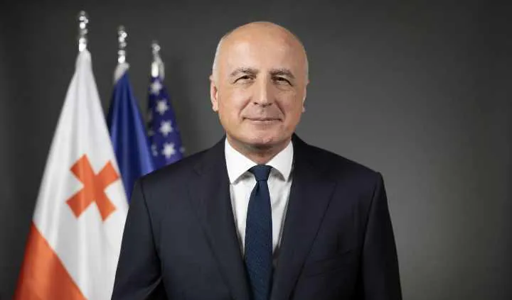 Badri Japaridze: Paweł Herczyński's statement confirms that "Georgian Dream" is a completely anti-Western force, where its leaders compete with each other in cursing European leaders and trampling the values ​​of the EU