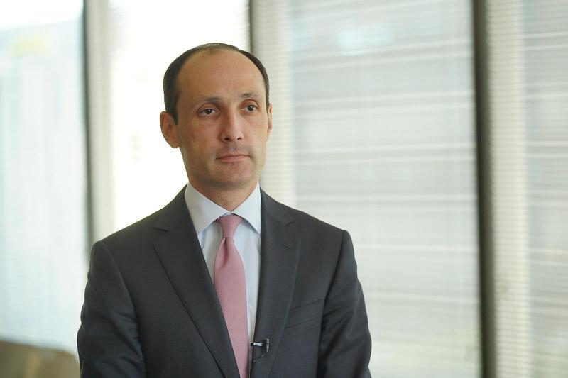 Levan Davitashvili 不再担任政府经济 委员会秘书一职，并继续在私营部门开展活动。