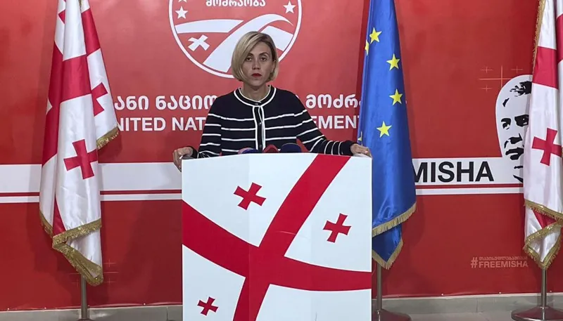 Ana Tsitlidze accuses "Georgian Dream" supporters of confiscating ID cards from opposition voters