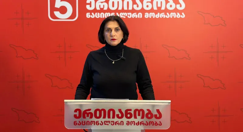 Tamar Kordzaia: We demand the creation of a group of international experts that will conduct a full audit of the equipment that should be sealed in the CEC at the moment