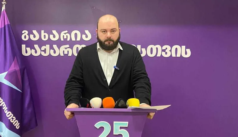 Beka Liluashvili: We call on the CEC to provide timely information on the procedure and deadlines for managing information on electronic media - every day of non-response increases the risks of evidence destruction