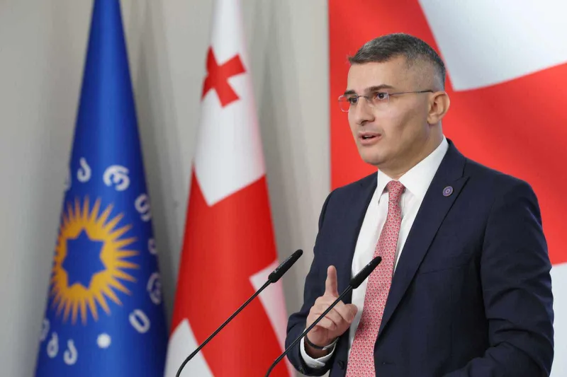 Mamuka Mdinaradze criticizes opposition’s strategy to "anger the people" - “Their plan is no plan”
