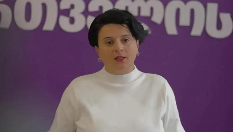 Natia Mezvrishvili: This is not and can not be a perfect investigation - everything will be aimed at the investigation to establish that you all seemed to be wrong, that no one has any evidence and that the elections were not rigged