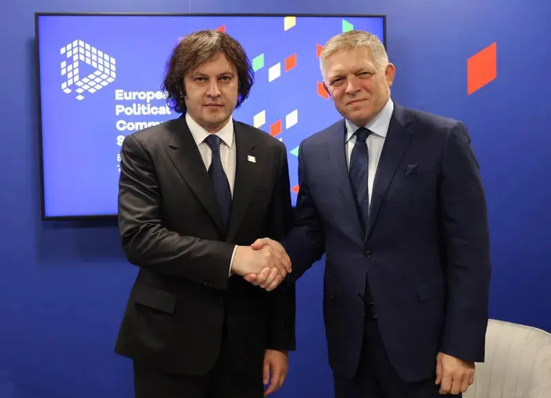 Irakli Kobakhidze met Robert Fico in Budapest