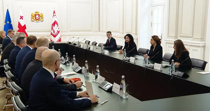 Salome Zurabishvili meets the chairmen of the Committee on Foreign Relations of the 8 EU countries