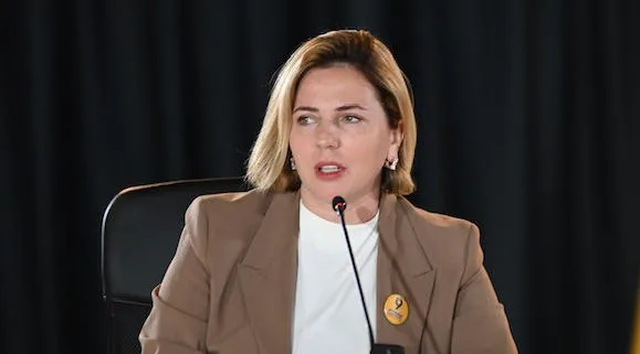 Ana Dolidze: We are working for the arrival of an international investigation in Georgia, which can quickly remove the evidence