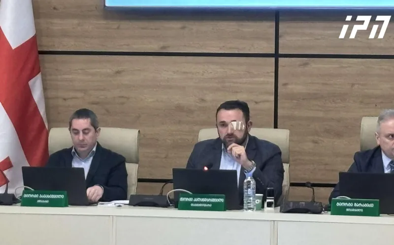 The CEC session resumed: Giorgi Kalandarishvili returned to the session with rolled eyes
