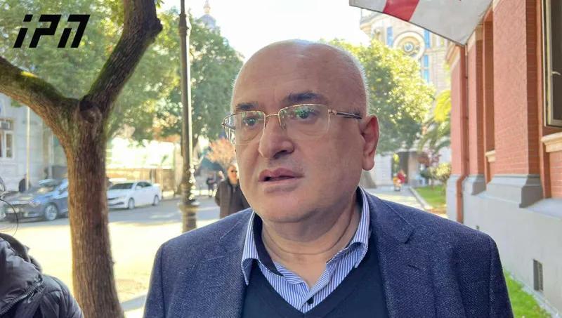 Merab Turava: lawsuits of the President and members of the parliament are considered at the same time - the maximum term of consideration is one month, there is no need for an accelerated rule