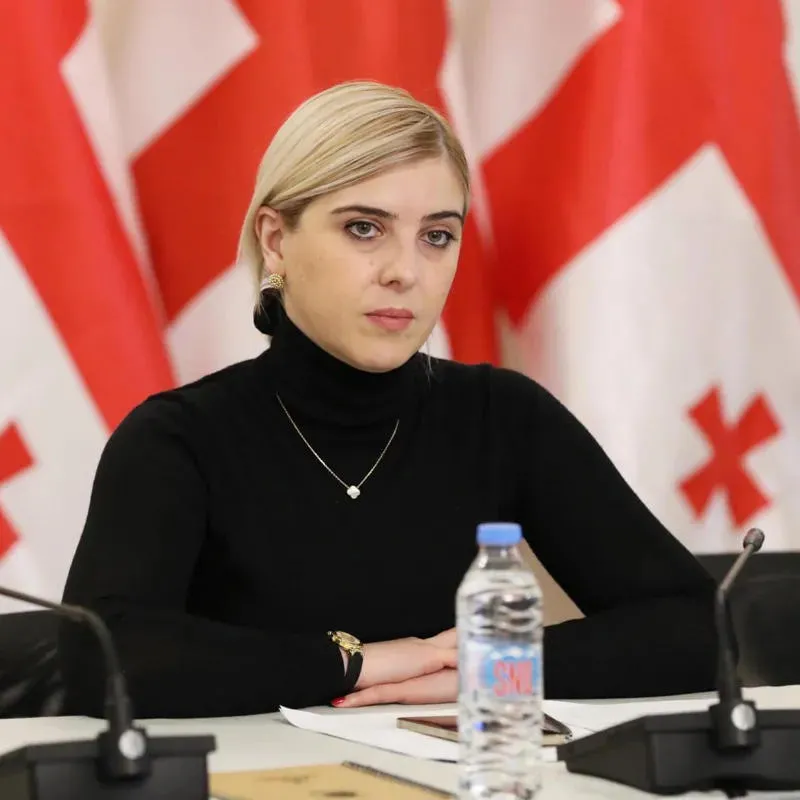 Khatia Tsilosani calls Giorgi Kandelaki's statement about Canada's refusal to grant visas to the Georgian delegation disinformation
