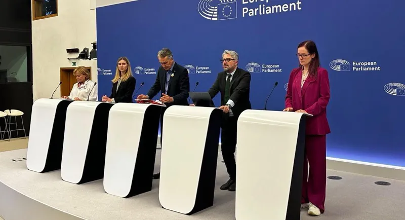 Tina Bokuchava: We call on the European Parliament to ensure that the mandate and composition of the investigative mission will be such as to reveal the extent of the fraud that changed the election results