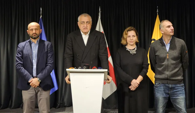 "Strong Georgia" officially applies to the CEC with the request to cancel the electoral list