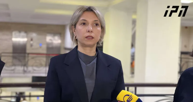 Nino Lomjaria: More than 30 participants of the protest have been arrested under criminal law. Among the detainees are up to 10 students, as well as a doctor, a journalist, actors, representatives from the academic field, and political parties