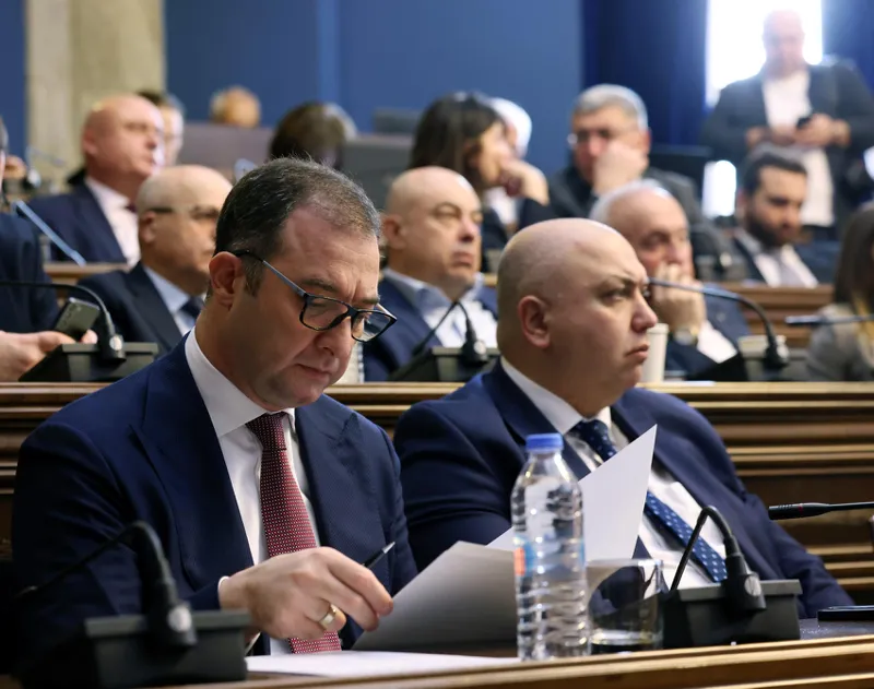 დავით სონღულაშვილი - 2028 წლისთვის დასრულდება DCFTA ვალდებულებიდან გამომდინარე სურსათის უვნებლობის, ვეტერინარიისა და მცენარეთა დაცვის სფეროში მოქმედი ეროვნული სტანდარტების ევროკავშირის მოთხოვნებთან დაახლოება