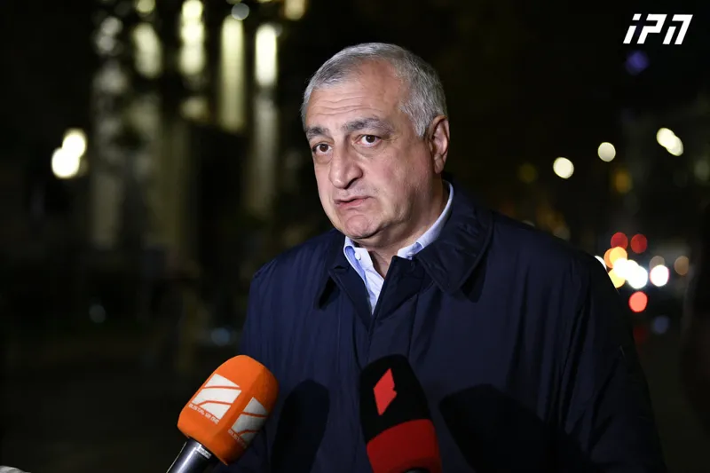 According to Mamuka Khazaradze, a coordination council will be created with the President, where society representatives will unite together with the parties
