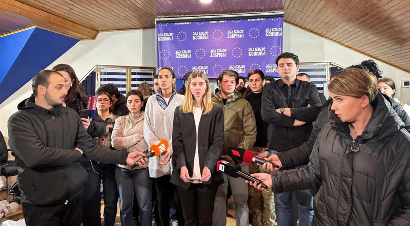 Tina Bokuchava: Georgian and EU flags, physiological solution and medical supplies were taken from the office, but we don't know what they brought - we suspect that they brought things that will be used to accuse us of a coup d'état