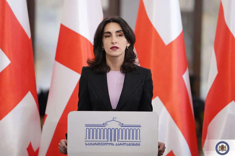 Maka Bochorishvili: International recognition is necessary for the country, and the country has recognition. Therefore, all processes that take place within the framework of the constitution are legitimate - there are no questions